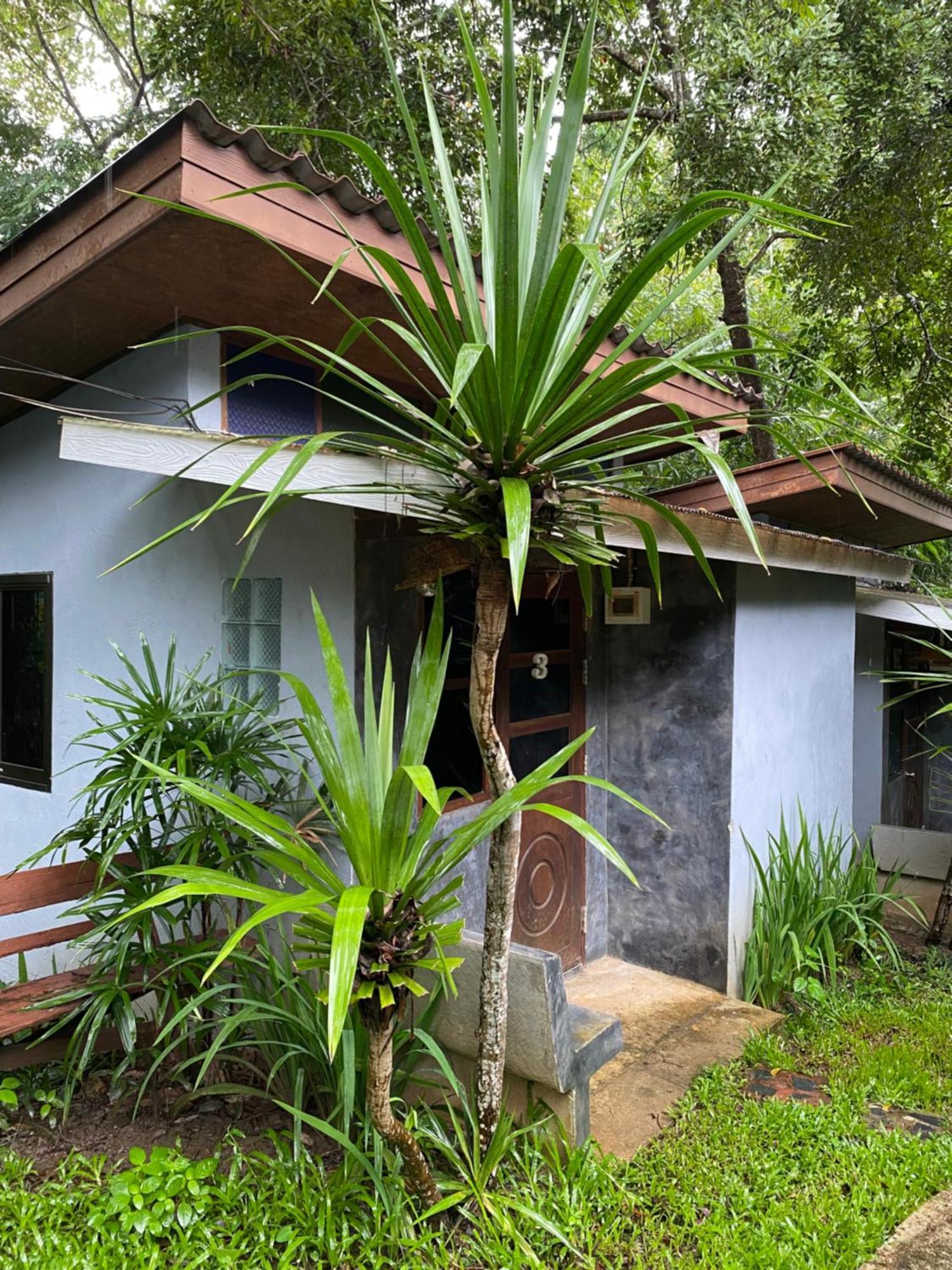 Shaya Resort Pai Buitenkant foto