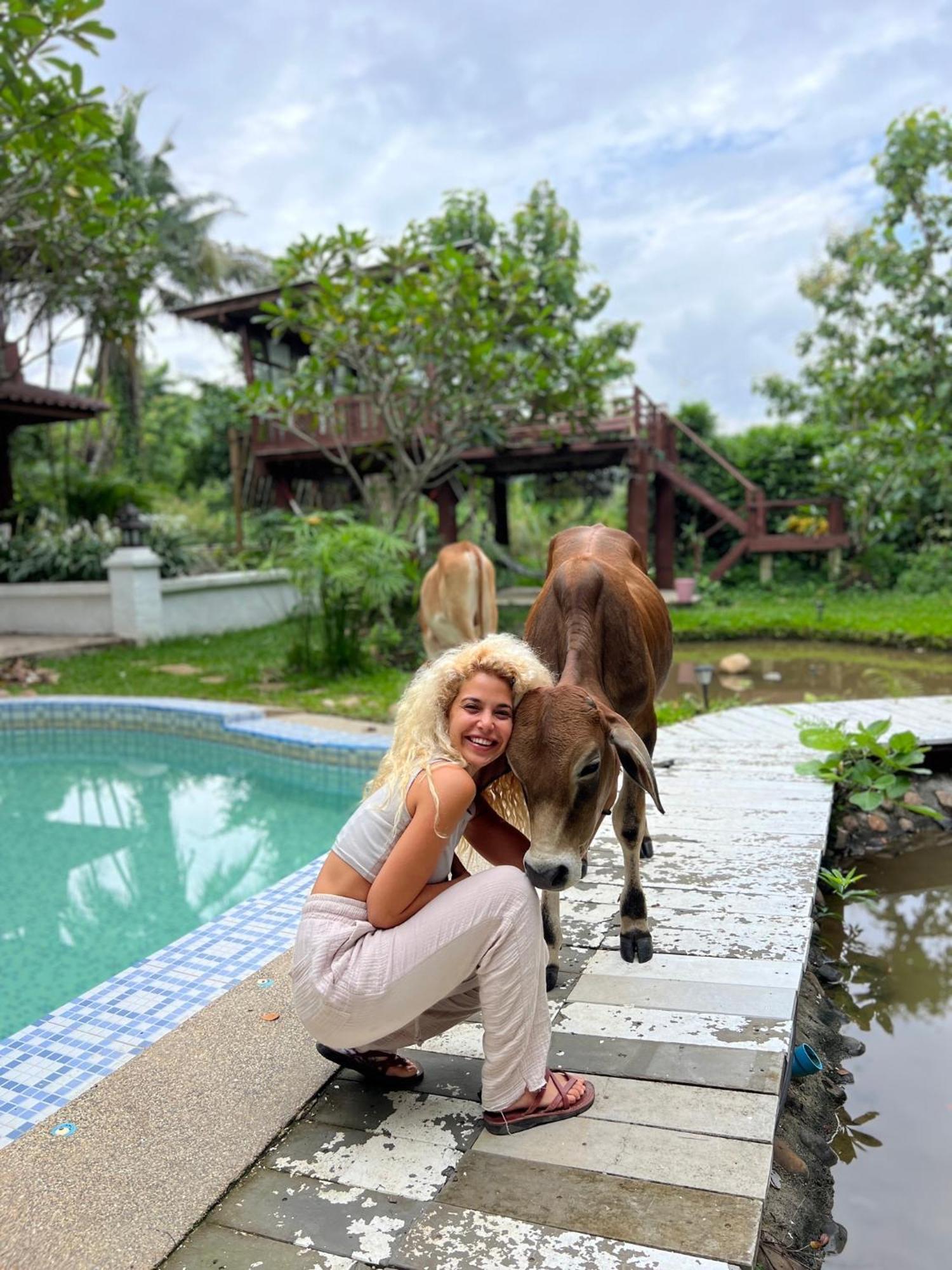 Shaya Resort Pai Buitenkant foto